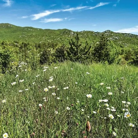 Villa Bonaventura Countryside Near Split *